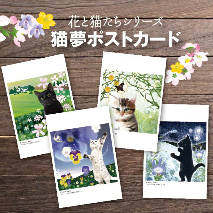 楽天市場 猫夢ポストカードセット 花と猫たち 4シリーズ計枚セット 猫 ポストカード ポストカード 猫 猫 花 文学 Catelier キャットリエ
