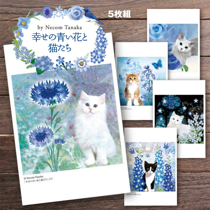 楽天市場 猫夢ポストカードセット5枚組 幸せの青い花と猫たち 猫 ポストカード ポストカード 猫 猫 花 文学 猫グッズ 雑貨 プレゼント 猫モチーフ Catelier キャットリエ