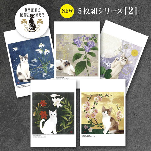 楽天市場 猫夢ポストカードセット5枚組 夏目漱石の植物と猫たち 猫 ポストカード ポストカード 猫 猫 花 文学 猫グッズ 雑貨 プレゼント 猫モチーフ Catelier キャットリエ