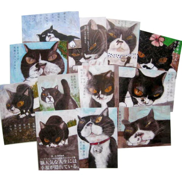 楽天市場 鉄男 脳天気な人生には 幸福が隠れている 猫ポストカードセット 猫グッズ 雑貨 プレゼント 猫モチーフ Catelier キャットリエ