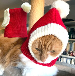 LpE^pNX}XXq yLpANZT[zyNX}Xz