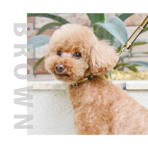 ^   gR[ `F[X n[t`[N STCY {  p ASHU ^ g[jÔł ߉\ v~AJ[  U gCv[h ` 