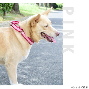 ^  킢 `F[Xn[t`[N STCY { ^p  ASHU ˎRnEhJ v~AJ[ `F[gȂn[t`[N  yʎ ˎRnE