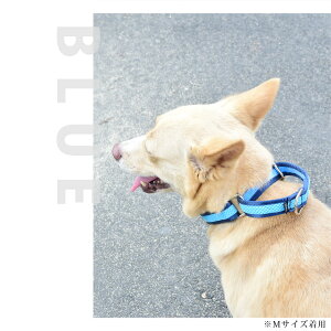 yN[|zzz^  `F[Xn[t`[N MTCY { ^p   ASHU ˎRnEhJ _炩f hbOEFA t@bV ˎRnEhJ