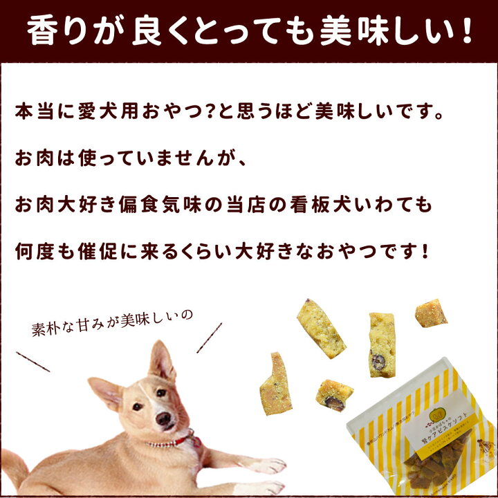 楽天市場 犬用無添加おやつ 小豆かぼちゃの腎ケアビスケソフト60g 10 1袋セット 低リンで腎臓に配慮されたおやつ トリーツ 国産 安心 小豆カボチャ あずき キャットフード帝塚山ハウンドカム