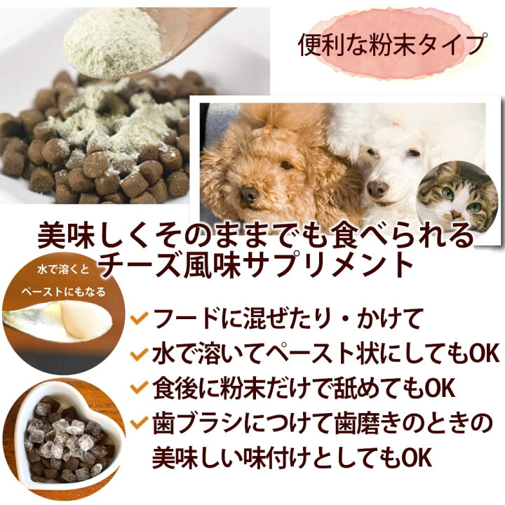 市場 愛犬愛猫用スケーラー 歯磨き 歯石取り 先細平型セット 歯垢や歯石除去 犬の歯磨き デンタルケア ペットグッズ 送料無料 ペット用品 市場 愛犬愛猫用スケーラー 歯磨き 歯石取り 先細平型セット 歯垢や歯石除去 犬の歯磨き デンタルケア ペットグッズ 送料無料 ペット用品