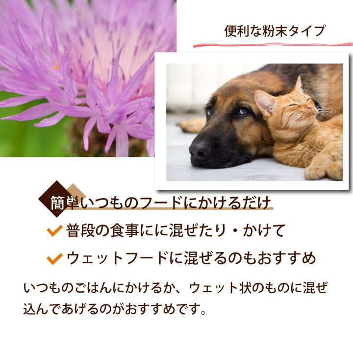 楽天市場 肝パワー元気 犬猫用 90g 犬用 肝臓用 肝臓サポート クルクミン マリアアザミ シルマリン しじみエキス カキエキス Lオルニチン ハイチオンエキス 酵母グルタチオン イヌ いぬ わんこ 肝臓ケア 肝ケア 老犬 ウコン A0297 タウリン キャットフード帝塚山