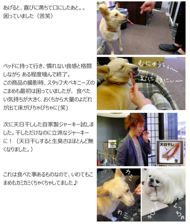 楽天市場 犬用 鹿肉 天然 丹波産 鹿生アキレス 1袋 5本入り 国産 シカ肉 高齢犬 シニア 消化 子犬 子猫 老犬 老猫 生肉 デンタルケア ペット 歯石 お口の匂い 低カロリー 酵素 乳酸菌 デンタルおやつ 手作りごはん 無添加ドッグフード 犬用鹿肉 A0308