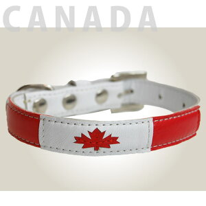 yN[|zzz  v ASHU [h J[S ^ ȍ fUC i U[  ybgp̃uh ˎRnEhJ