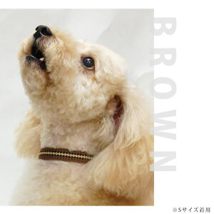 yN[|zzz^  ASHU CJ[ S { p ̎  v 킢 Y lC ˎRnEhJ U