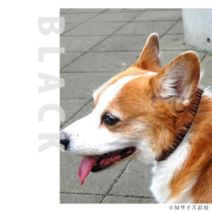 ^  ASHU XebvJ[ L vŊȒPe[v^Cv   ԂlC { uh STEP ˎRnEhJ