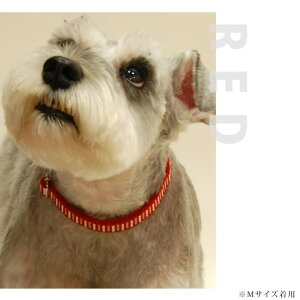   ASHU XebvJ[ M ^ vȕɂ ȒP^b` z{ uh ˎRnEhJ STEP 