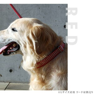 ^  ASHU XebvJ[ L vŊȒPe[v^Cv   ԂlC { uh STEP ˎRnEhJ