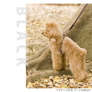 ^p n[lX  STEP[Xebv]n[lX L ybg  ȒP { n[lX[h hbO pn[lXyn[lX ybgpi pi  ObY Up[h   