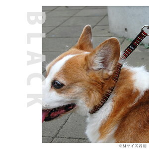 ASHU*STEP[Xebv]`[NJ[[MTCY] [`50cm]  `[NJ[ S`[N g[jO  ^  Vv ubN bh J[L  `[N p yb