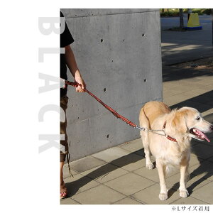 ^ ^ 3way[h L  ASHU Xebv3WAY [h O[h ˎRnEhJ { STEP