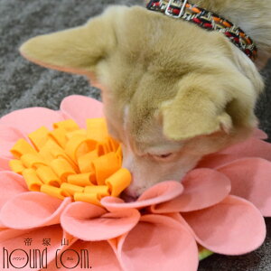 p@m[Y[N}bg@ԁ@BėVׂ@^@^@mgC ˎRnEhJ