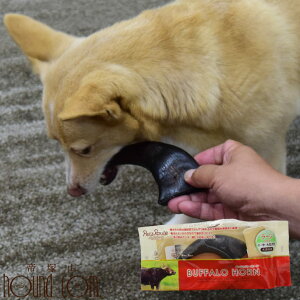 yP2{N[|zzzp f^ obt@[z[ [W@^@^@^@ނ@Ch@p ˎRnEhJ