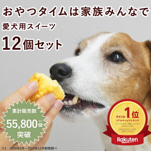 yN[|zzzp  H̎`[YXt 12ZbgynEhJHz  Y@@v[g 炩@Mtg@Ⓚł͂ ˎRnEhJ