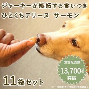 ƂĂ̂ЂƂe[k T[ 100g×10+1 Ⓚ ynEhJHz Lp  Y Y GT EFbgt[h gbsO HׂȂq HQ tɔz჊ 