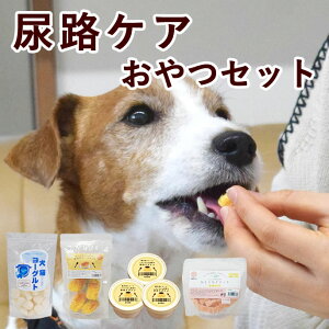 AHPAZbgynEhJHzyⓀցz A AHPA AH ⋋ 育͂ V VjA Ղ Ö@H HׂȂ H gbsO hbOt[h