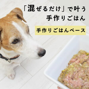 yN[|zzz 育͂ 𑫂h{oX͂ Y Y gbsO ӂ肩 ps[ VjA ɂ₳ ybgt[h lC  ȒP S  