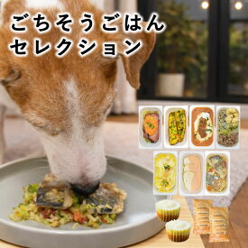 【P2倍＆割引クーポン配布中】ごちそうごはんセレクション【ハウンドカム食堂】【冷凍便】犬 無添加 誕生日 記念日 クリスマス お正月 おせち 老犬 シニア 水分補給 ウェットフード 簡単 便利 ケーキ スイーツ 手作りご飯
