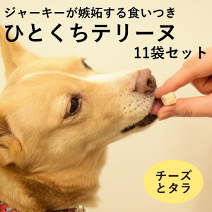 y11OFFN[|P5{zLp ƂĂ̂ЂƂe[k `[Yƃ^ 100g×10܁{1܂܂tZbg ynEhJHz Y Ⓚ  ჊ tɗD g