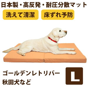 yP2{N[|zzzybgPA}bgNEO@LTCY ʗp@p}bg@xbh@ėp@I[V[Y@}bg@@􂦂@Rہ@{@Y@uXGA[@h~