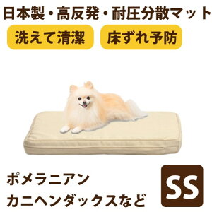 yP2{N[|zzzybgPA}bgNEO@SSTCY ʗp@pLp}bg@xbh@ėp@I[V[Y@}bg@@􂦂@Rہ@{@Y@uXGA[@