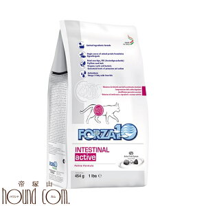 L FORZA10bCeXeBiANeBu454g itHc@fBG`j Lbgt[h yhCt[h _ tHc@10z ˎRnEhJ