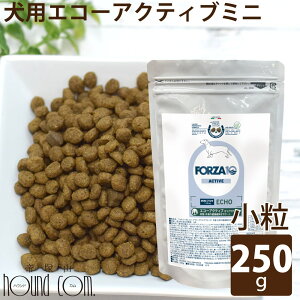 yN[|zzz FORZA10 Ö@Hbp GR[ANeBu(PA) 250gi~j jtHc@10 PAÖ@H@O@ǁ@HÖ@H tHc@fBG`@p@Y@hbNt[