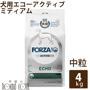 yN[|zzzy񂹁z FORZA10 Ö@Hbp GR[ANeBu(PA) 4kgi~fBA jtHc@10 PAÖ@H@O@ǁ@HÖ@H tHc@fBG`@Y