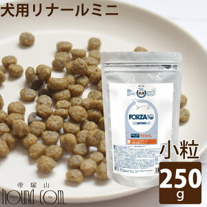  FORZA10 Ö@Hbp i[ANeBu(tPA) 250gi~j j