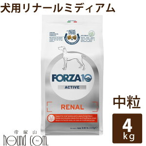 yN[|zzz FORZA10 Ö@Hbp i[ANeBu(tPA) 4kgi~fBA j