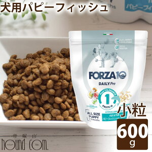 �y�����N�[�|���z�z���z�� FORZA10 �b���p �f�C���[�v���@�p�s�[�t�B�b�V�� 600g�i�~�j �����jDaily Pro�@�t�H���c�@10 �t�H���c�@�f�B�G�` �q���@�e���@�c���@���Y���@�ꌢ�@�D�P���@��������