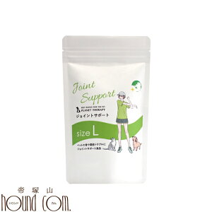 ֐߃Tvg WCgT|[g 80g  Lp ORT~ RhC` L Tv ̃Tvg  VjA Tvg ybgp ` R[M[ gCv[h 