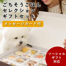 犬用 ソーシャルギフト｜ごちそうごはんセレクション ギフトセット（9種）【冷凍便】無添加 ギフト プレゼント おやつ 詰め合わせ 高級 贈り物 お祝い 誕生日 バースデー 記念日 お中元 お歳暮 バレンタイン クリスマス 可愛い ラッピング