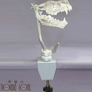 {[WCg@y̓AS͌^pŒz ˎRnEhJ