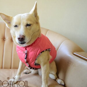 Cinofilo nȃLgnClbN@2LTCY@Thx[W/R[sN/K[lbg/ubN