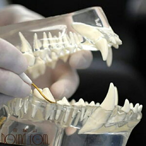 ̓AS͌^@y{@XP[O@K@K@z ˎRnEhJ