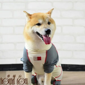   Jo[ @LTCY@̔ юU h~@ԈړɁ@oɁ@̕th~ }i[EFA ˎRnEhJ Č