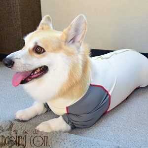   уJo[@LLTCY@  юUh~@ԈړɁ@oɁ@̕th~ ˎRnEhJ p Č }i[EFA hbOEFA ^ ^