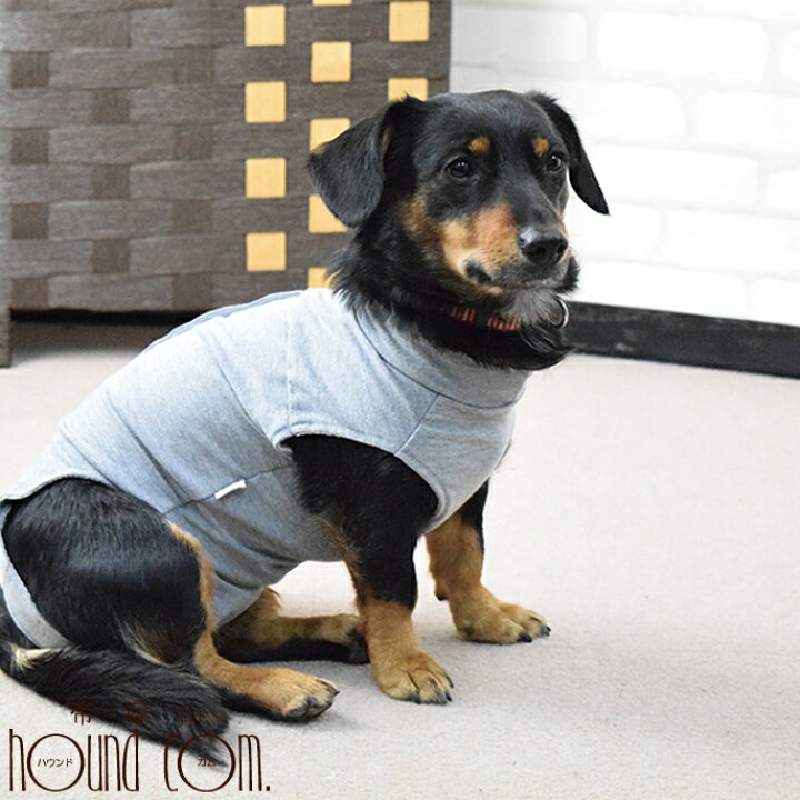 楽天市場 犬用 術後カバー服 中型犬用 サイズ40 45 50 柴犬 コッカー ビーグル フレンチブル コーギー 着せやすい 傷なめ防止 手術後 術後服 介護服 老犬 シニア 介護 エリザベスカラー代替 ストレス感じない 動きやすい 傷舐め 避妊手術 去勢手術 キャットフード
