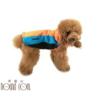 ASHU*uX|[eB[p[J[v[SSESTCY] ˎRnEhJ