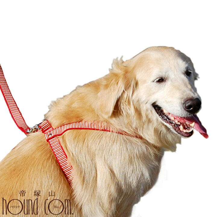 楽天市場 犬 ハーネス 大型犬 Step ステップ ハーネス L ペット 胴輪 簡単 ナイロン ハーネスリード ドッグ 犬用ハーネス 犬ハーネス ペット用品 犬用品 帝塚山ハウンドカム 楽天市場店 おしゃれ ペットグッズ グッズ 散歩用リード わんこ 愛犬 お散歩グッズ
