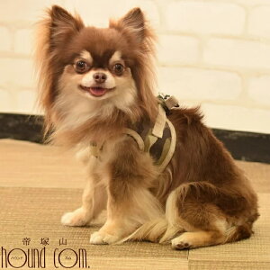 yN[|zzz n[lX ASHUEFAn[lX  SS ^ ^  q V DzEGAn[lX p yybgp hbO ˎRnEhJ yVsX ` 