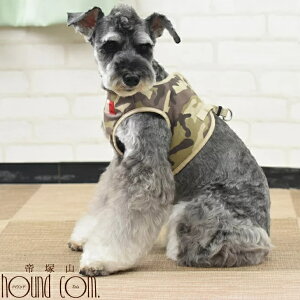  n[lX ASHUEFAn[lX  LL ^ ^  q VɂDzEGAn[lX ViEU[pn[lXyn[lX ybgp pi hbO ˎRnEhJ Č 