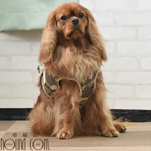  n[lX ASHUEFAn[lX  XL ^ ^  q VɂDzEGAn[lXyn[lX ybgpi pi hbO ˎRnEhJ Č R[M[  p 