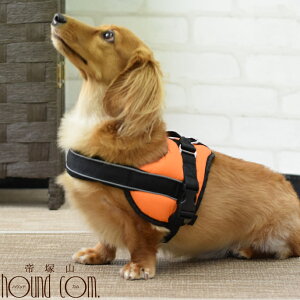 ^E^pn[lXbɗDNbVn[lX@TCYMyD ViEU[ WbNbZ Č {[_[R[ R[M[ V[Y _bNX z VjA@@nh